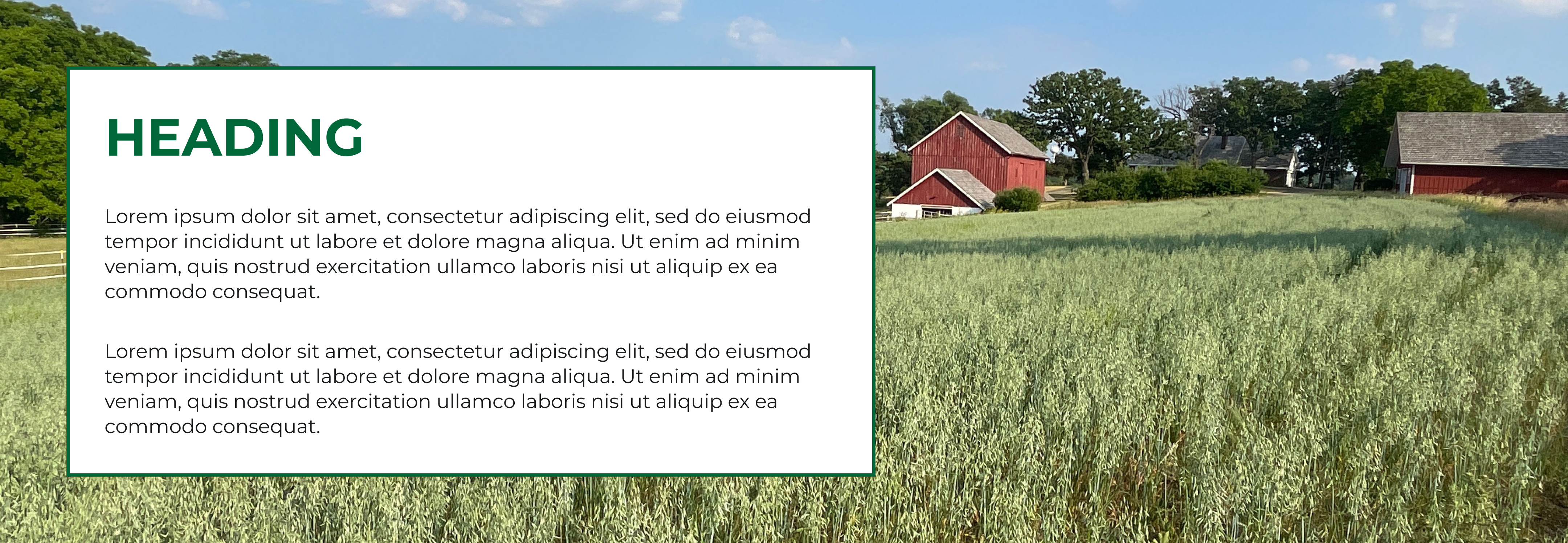 Sample website text against a photo background, showing off the beauty of Wisconsin.