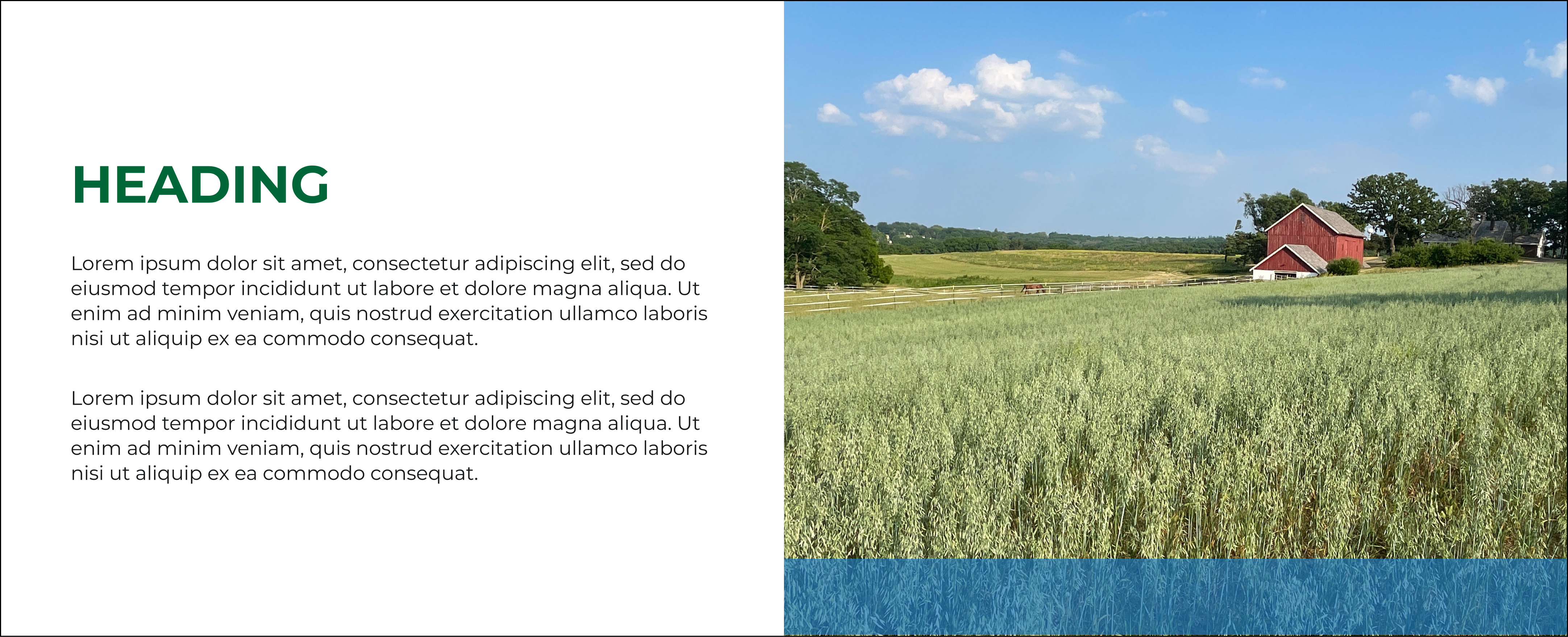 An image highlight next to sample website text with a translucent blue banner running across the bottom of the image